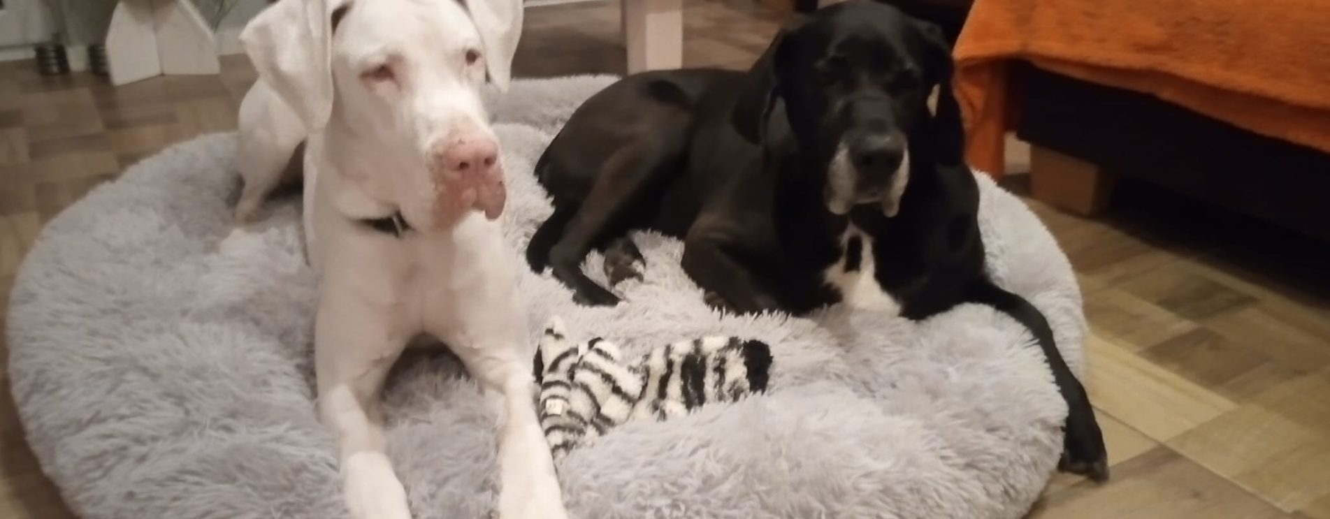 Ankea und Freundin Mila