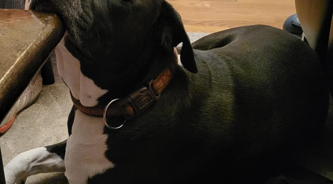 Otis