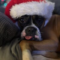 13.12.24