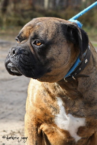 Buster